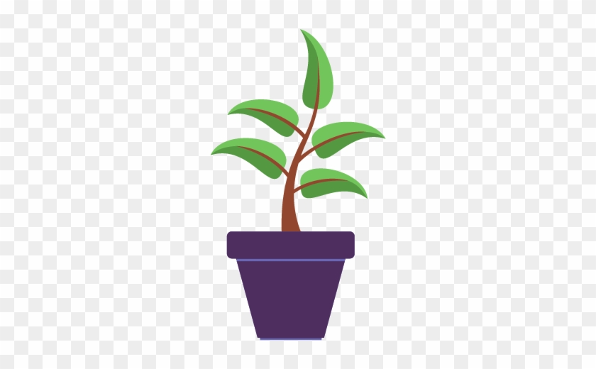 Sativa - Plantas En Macetas Animadas Png - Free Transparent PNG Clipart Images Download Sativa - Plantas En Macetas Animadas Png - Free Transparent PNG Clipart Images Download