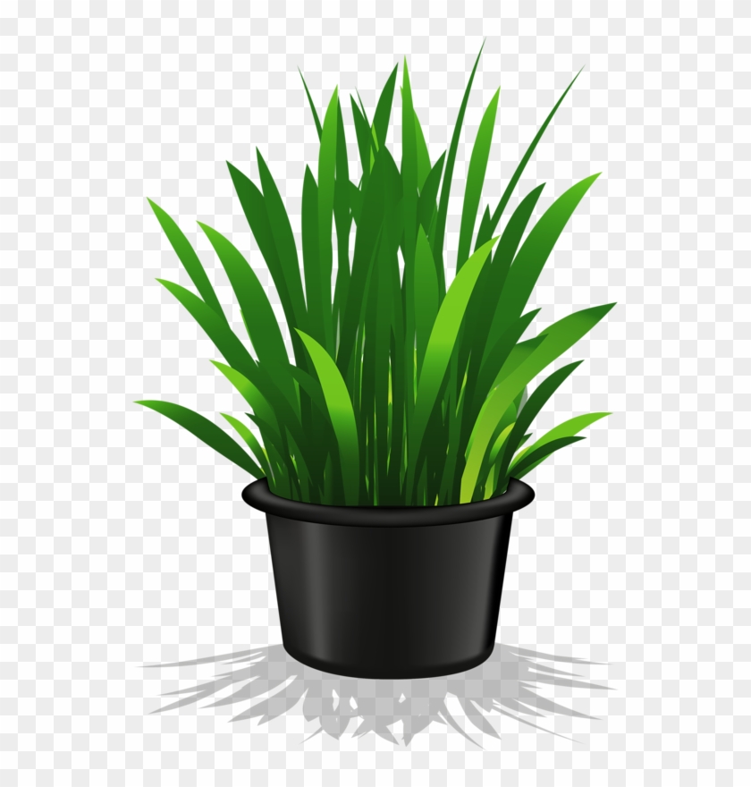 Green Plant Clip Art #606987