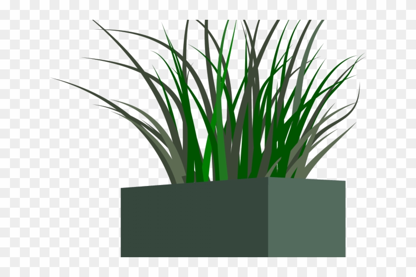 Pot Plant Clipart Planter Box - Lawn #607004