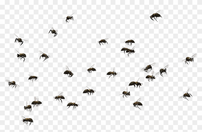 Bee Swarm 02 By Free Stock By Wayne - Swarm Of Bees Png #607105