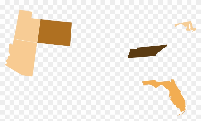 Boston Tea Party Presidential Election Results, 2008 - Florida - Home State - Gray On White - Lantern Press #608440