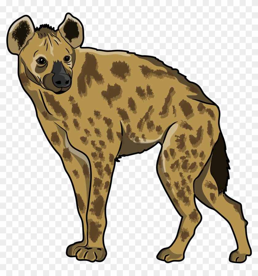 Recursos Gráficos Para Diseñadores, Jóvenes Y Profesores - Spotted Hyena #608456