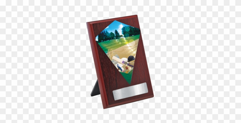 Cricket Diamond Insert Plaque - Cricket Diamond Insert Plaque #608725