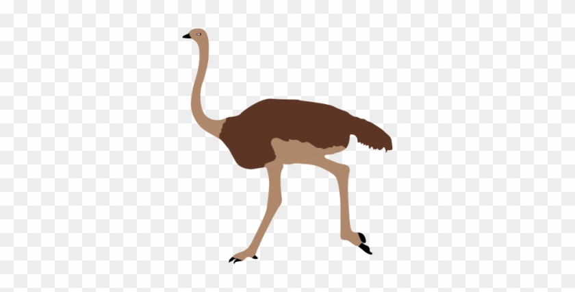 Ostrich Image Clipart Animals Png Images - Ostrich #608746