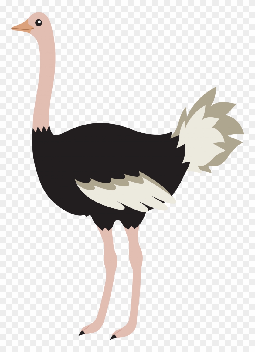 Download Ostrich Png Image - Ostrich Clipart Png #608804