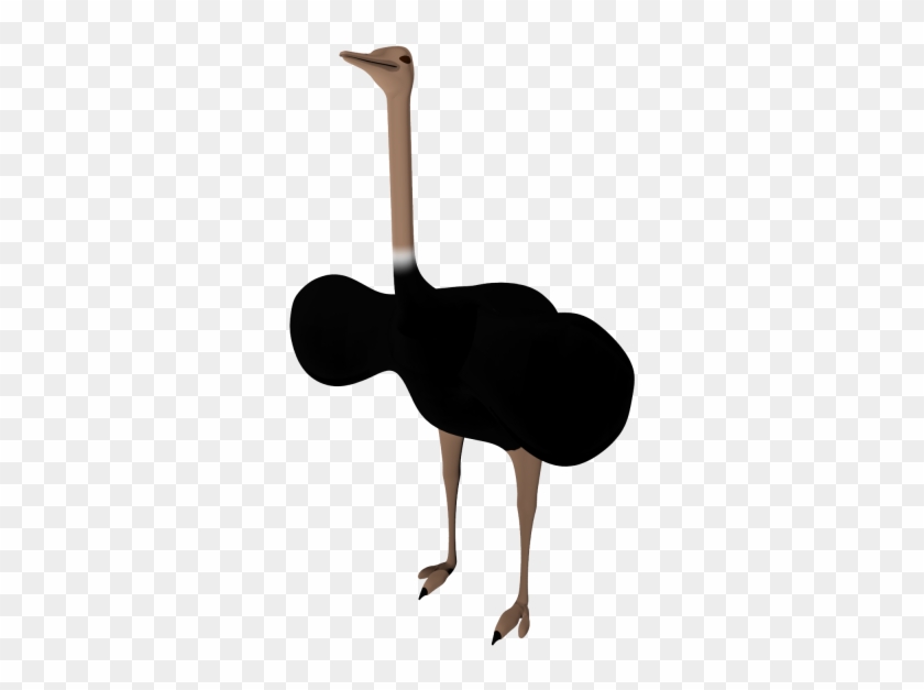 Black Ostrich Png Pictures - Dog Catches Something #608856