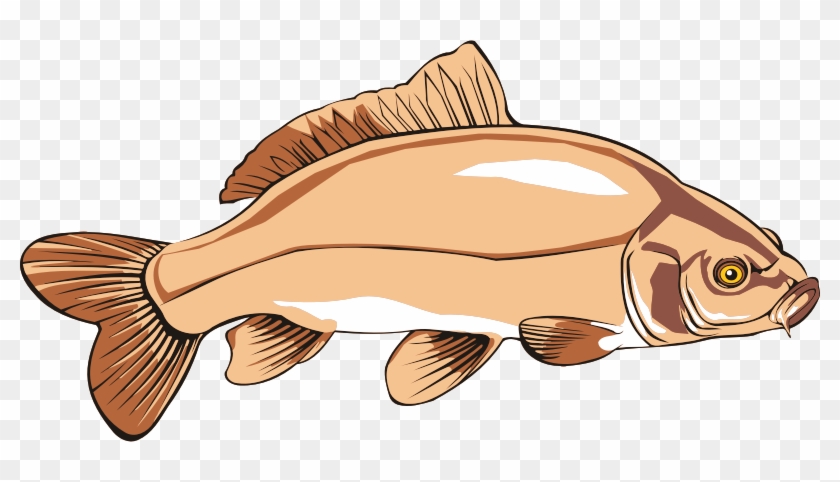 Medium Image - Carp Clipart #608980