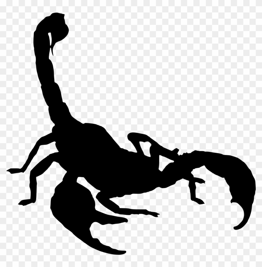 Scorpion - Scorpion Tail Vector #609171