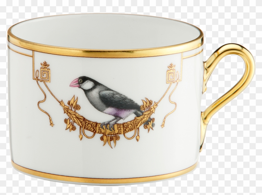 Richard Ginori Voliere Coffee & Tea Service Voliere - Richard Ginori Coffee Cups #609861