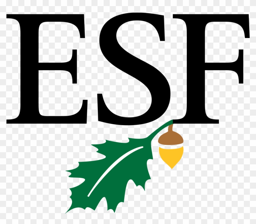 State University Of New York College Of Environmental - State University Of New York College Of Environmental #609876