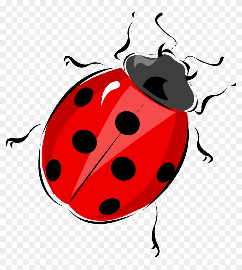 Lemon - Ladybird Locket Necklace, Red Ladybug Necklace, Animal #610110
