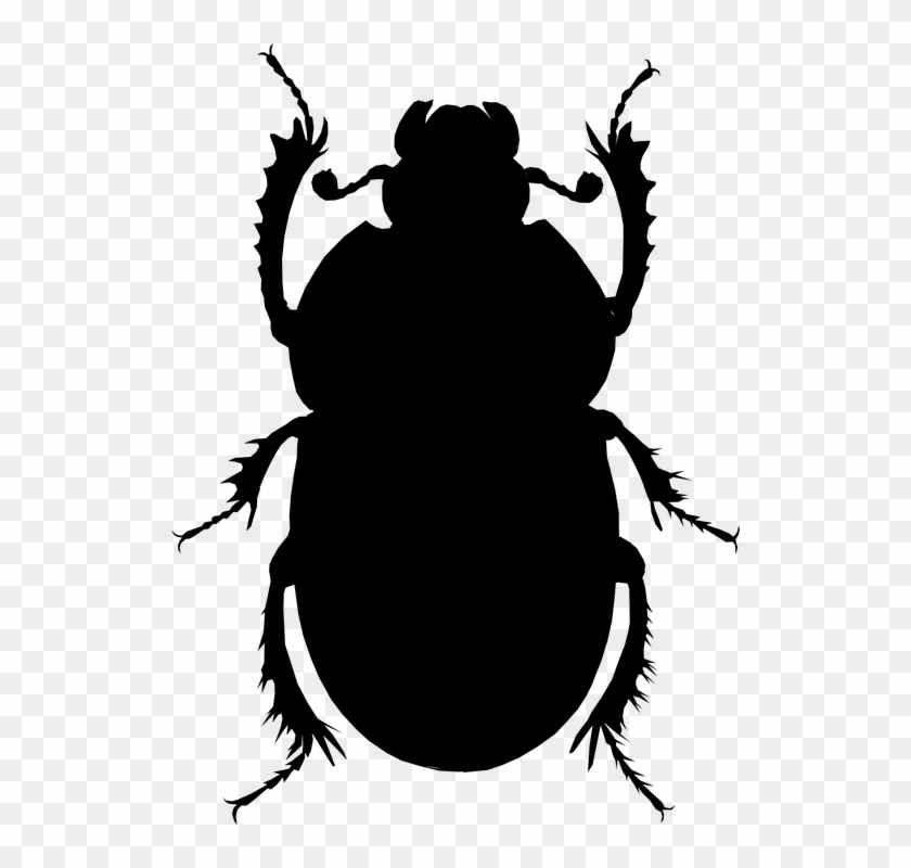 Beetle Clipart Silhouette - Dung Beetles Tranparent #610783