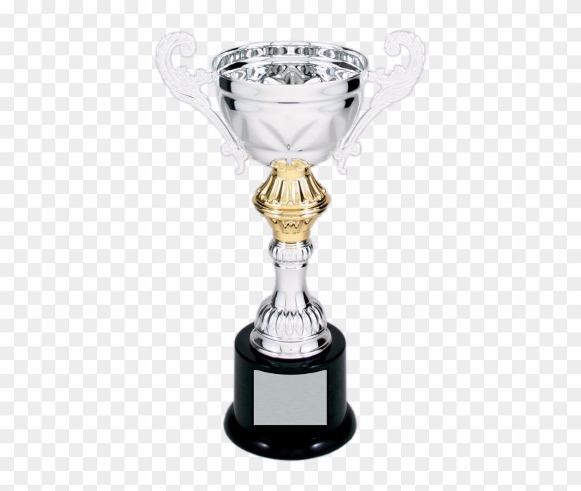 Silver & Gold Metal Corporate Cup Trophy On A Black - Cup Trophy Champion's - Gold / Silver #610941