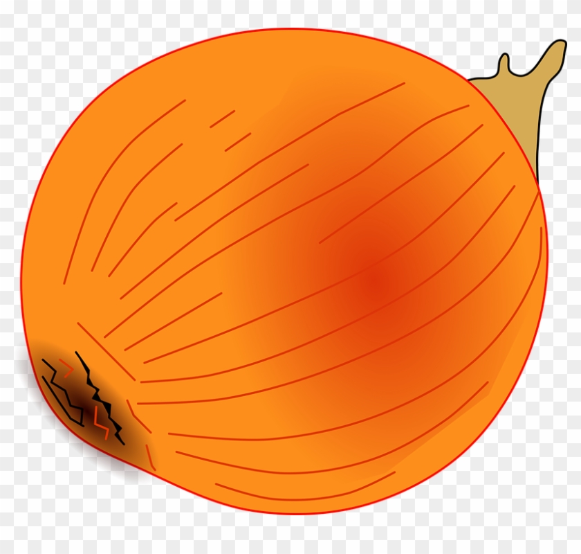 Vector Pumpkin - Gambar Vektor Gratis Buah Dan Sayur Kartun Png #611093