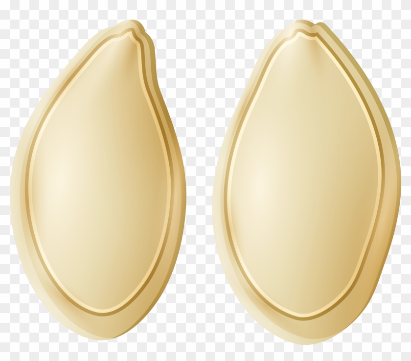 Pumpkin Seeds Png Clip Art - Pumpkin Seeds Clipart Png #611170