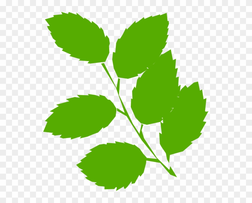 Green Leaves Clipart #611349