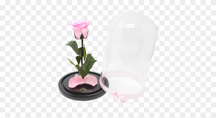 Pink Beauty & The Beast - Artificial Flower #611464