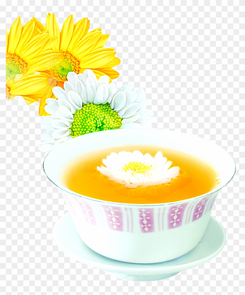 Chrysanthemum Tea Flowering Tea Chrysanthemum Xd7grandiflorum - Chrysanthemum Tea Flowering Tea Chrysanthemum Xd7grandiflorum #612025