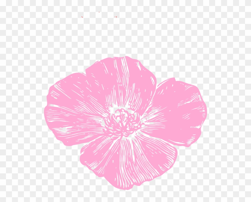 Pink Poppy Flower Clipart #611880