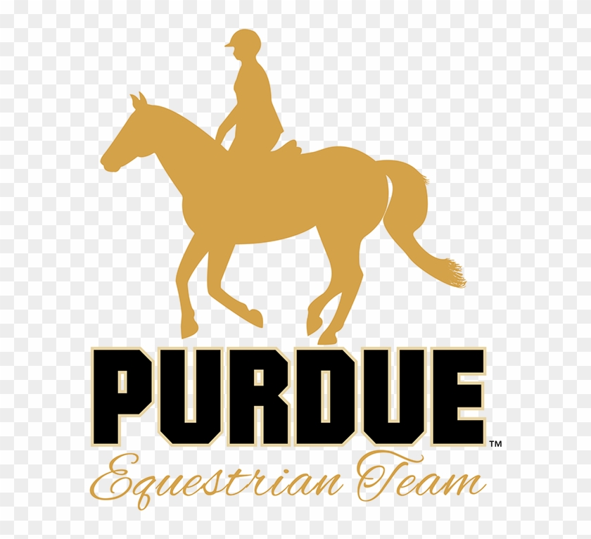 Purdue University 2.5 Oz. Shooter #611900