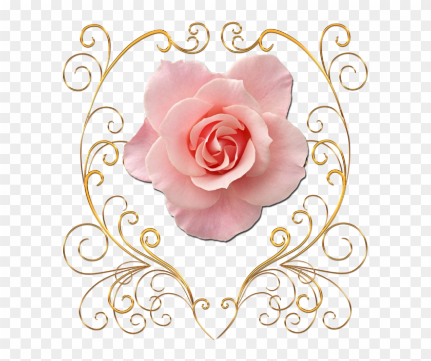 Garden Roses Flower Petal Clip Art - Garden Roses Flower Petal Clip Art #612003