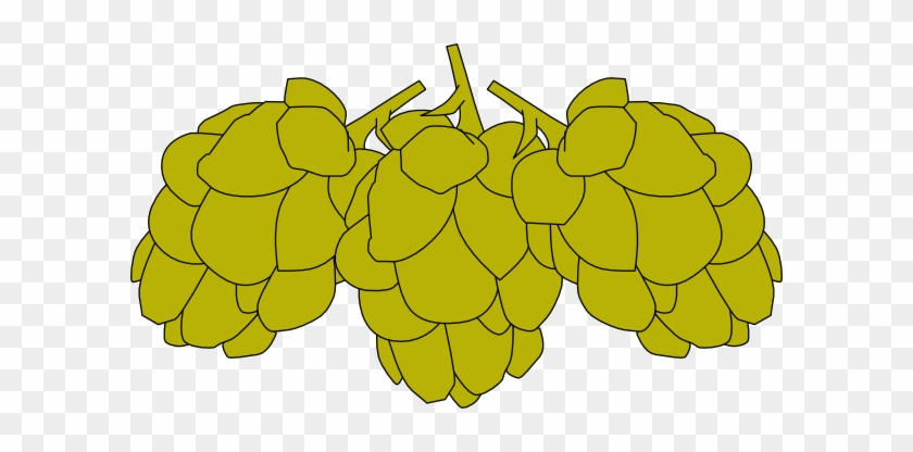 Beer Hops Clipart - Humulus Lupulus Clipart #612026