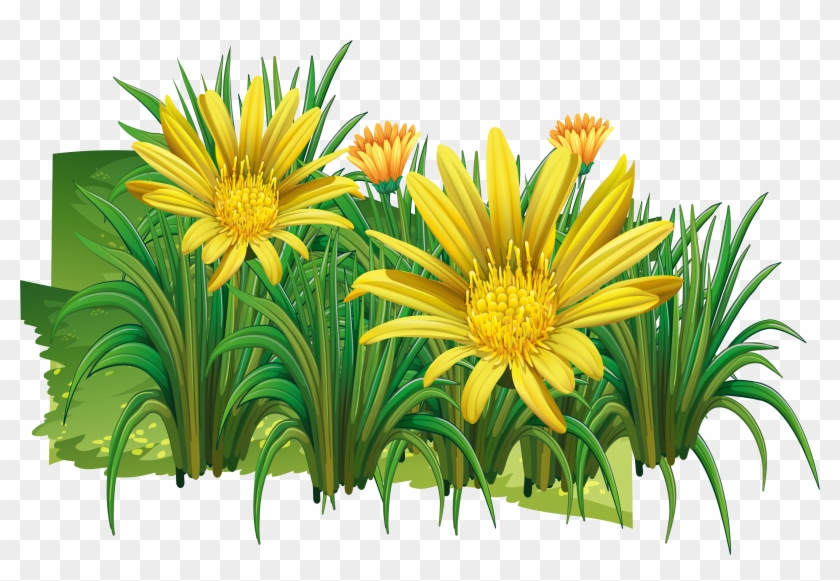Chrysanthemum Indicum Clip Art - Chrysanthemum Indicum Clip Art #612635
