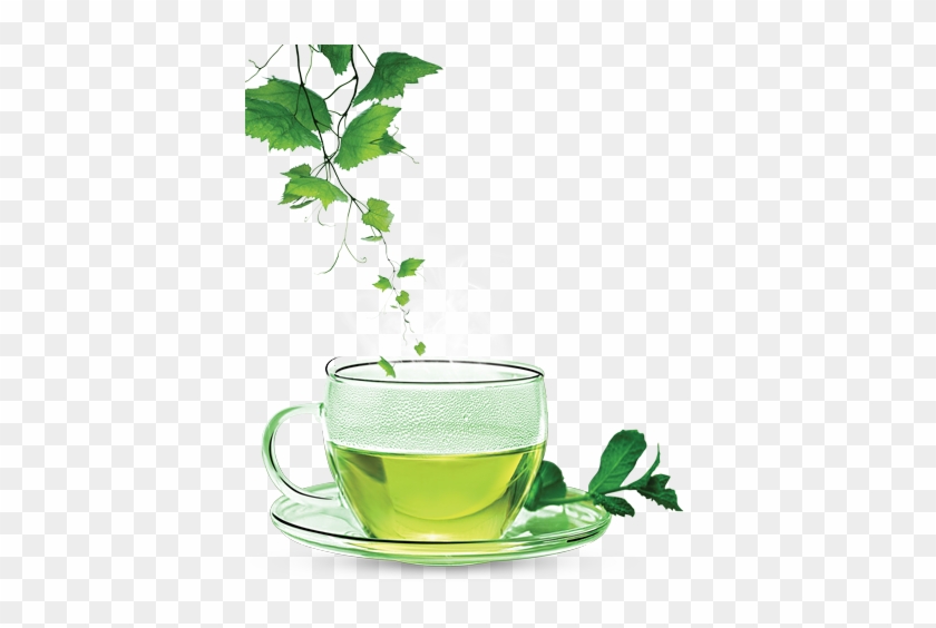 Tea Cup Clipart Green Tea - Green Tea Png #612581