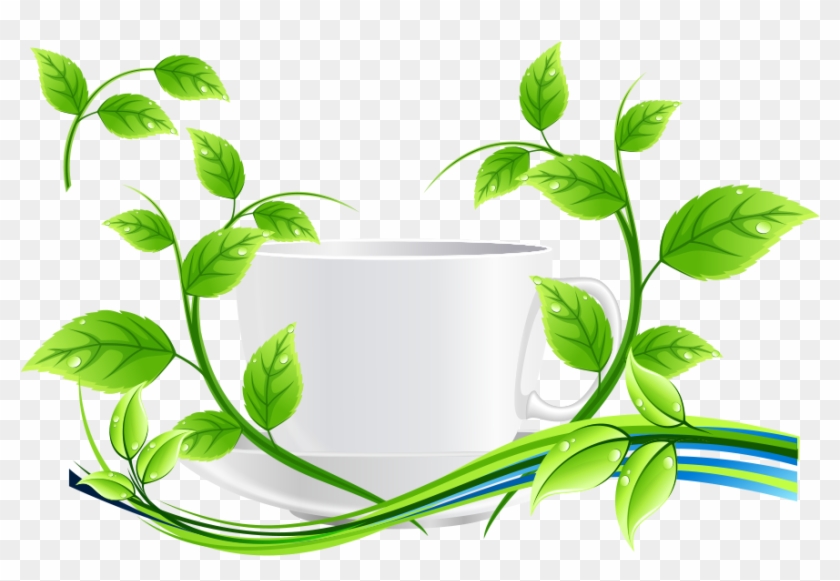 Green Tea Euclidean Vector Leaf - Green Tea Euclidean Vector Leaf #612648