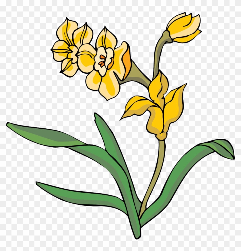 Yellow Floral Design Chrysanthemum Clip Art - Yellow Floral Design Chrysanthemum Clip Art #612716