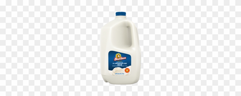 Borden Milk - Plastic Bottle #612827