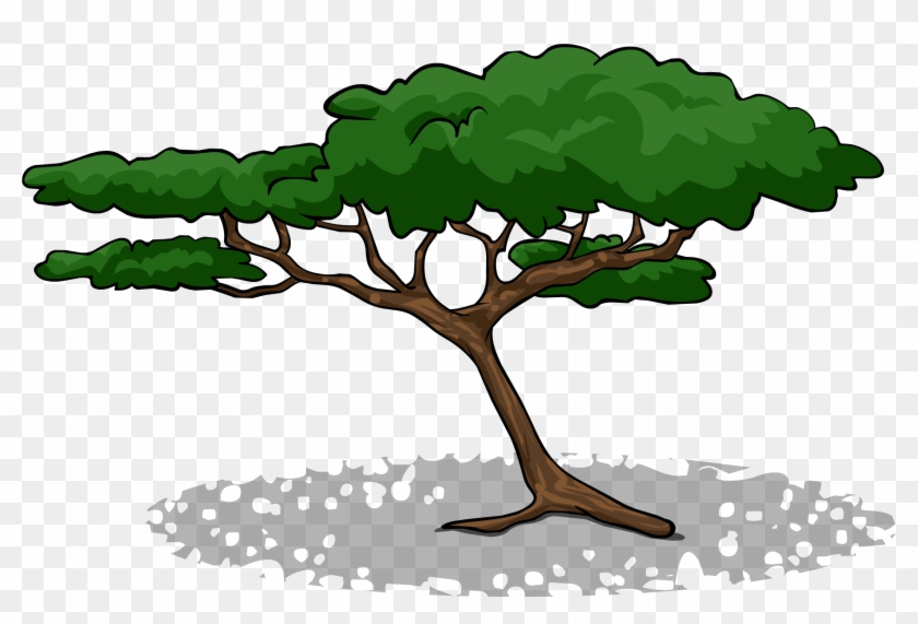 Acacia Tree Sprite 002 - Acacia Tree Clip Art #612875