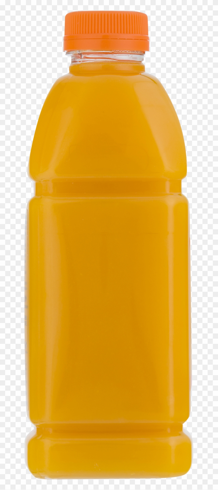 Plastic Bottle #613019