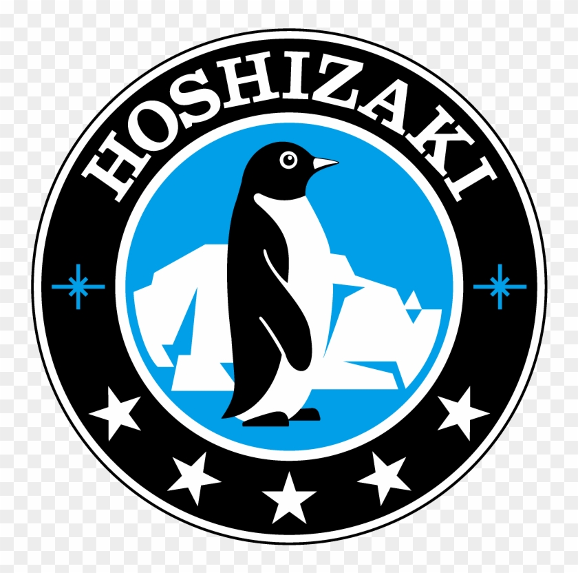 Why Choose Hoshizaki Ice Machines Https - Hoshizaki Logo #613218