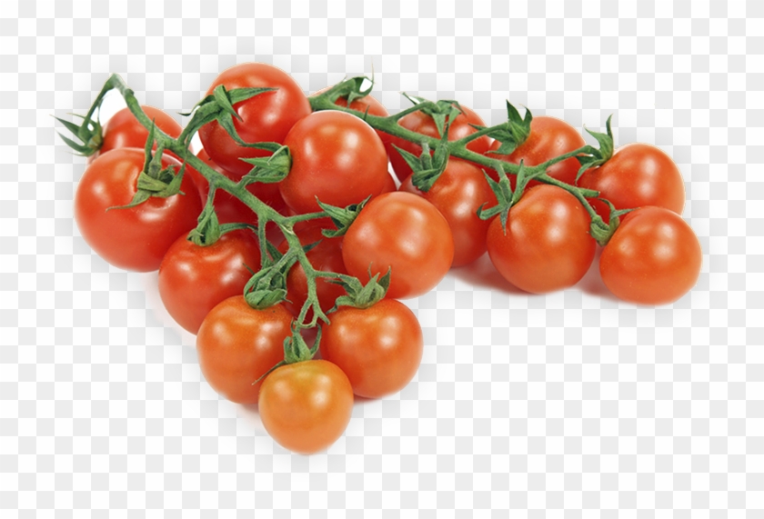 Tomatoes - Tomato #613510