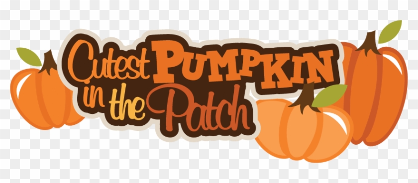 Free Clipart Pumpkin Patch - Cutest Pumpkin In The Patch #613708