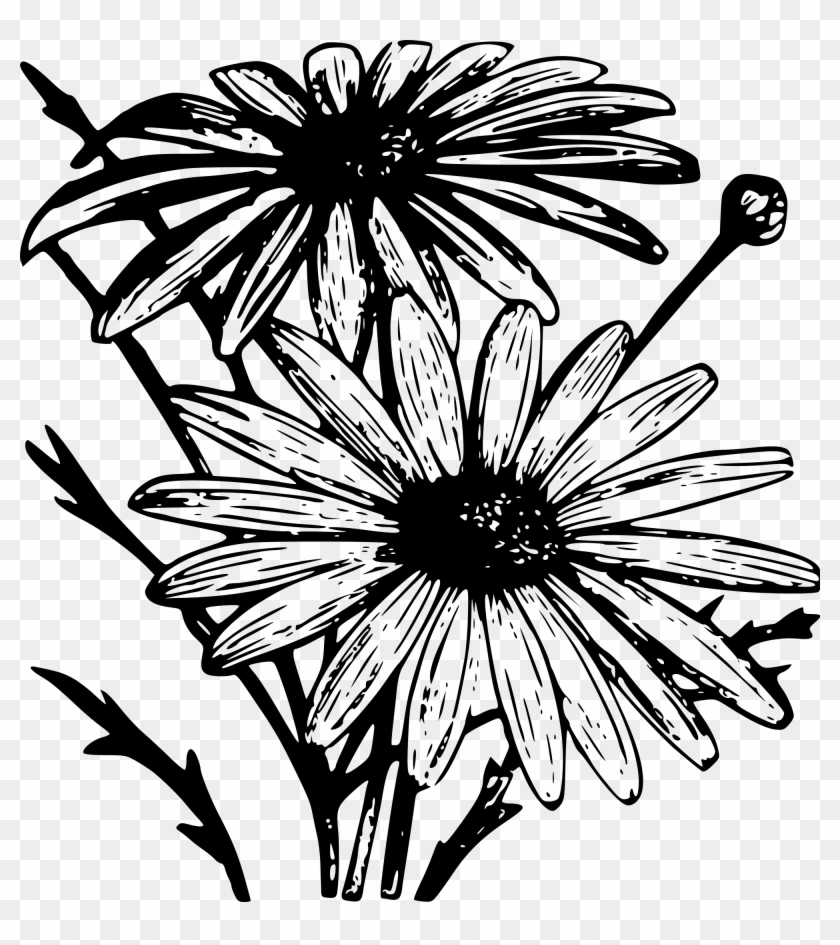 Open - Wikimedia Commons #613771