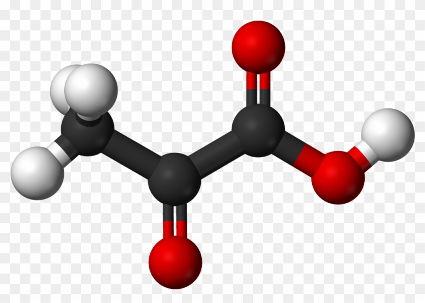 The End - Oxalate Ions In Guava #613925