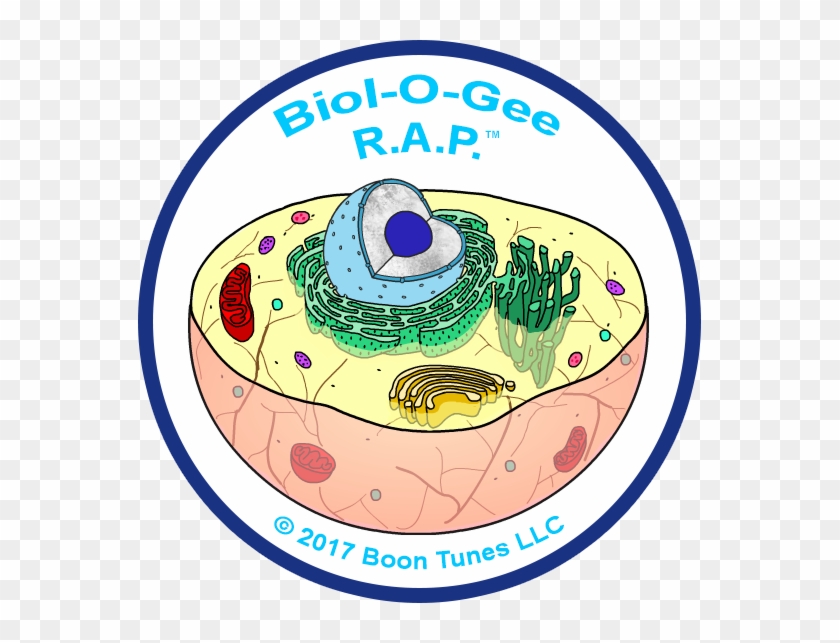 Cell Profile Biology Rap Videos Logo - Organelle #613928