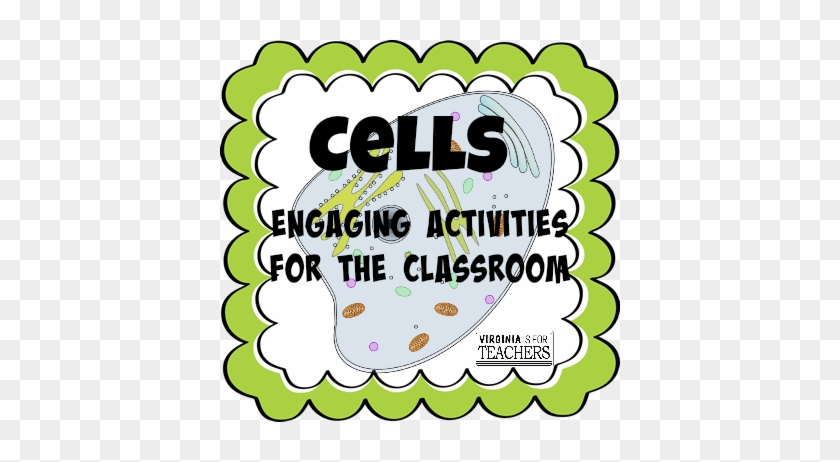 Engaging Cell Unit Activities For The Classroom - Price Slashedbraciano Fabric Hobo Colorful Used #613934