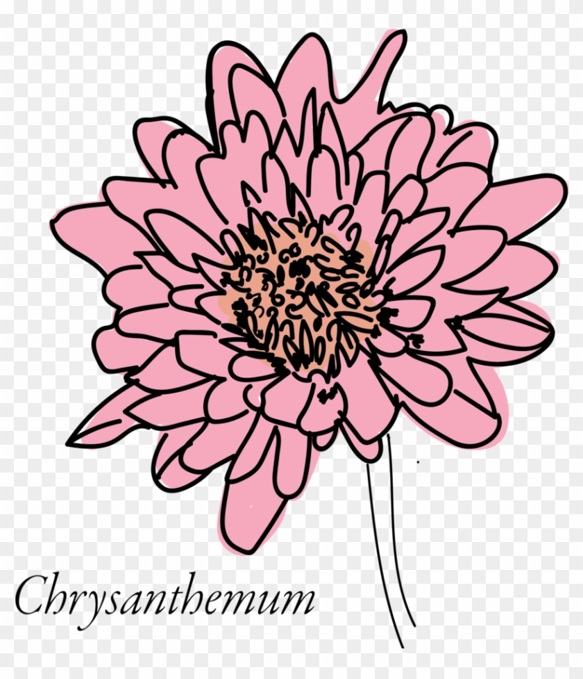 Chrysanthemum-03 - Chrysanthemum #614167
