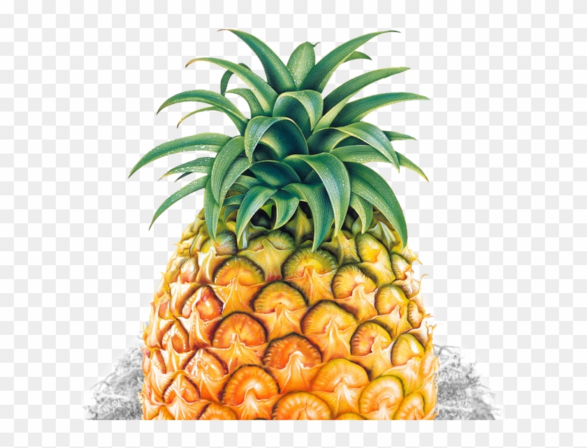 Pineapple Tumblr Transparent #614266