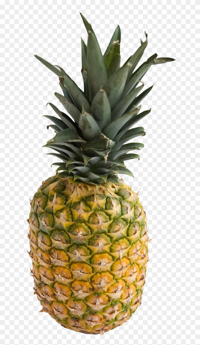Download Pineapple Png Image - Pineapple Png #614289