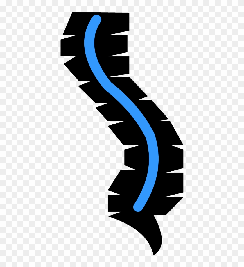 Spinal Cord - Spinal Cord Icon Png #614320