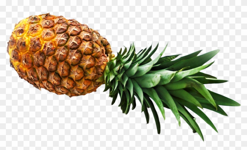 Pineapple - Pineapple Png #614330