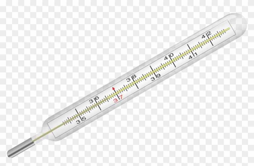 Thermometer - Termometro De Laboratorio Desenho #614432