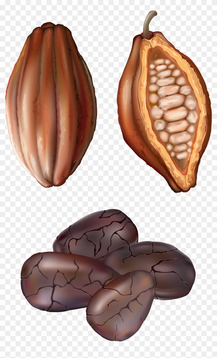 Cocoa Nut Png Clip Art - Cocoa Clip Art #614581