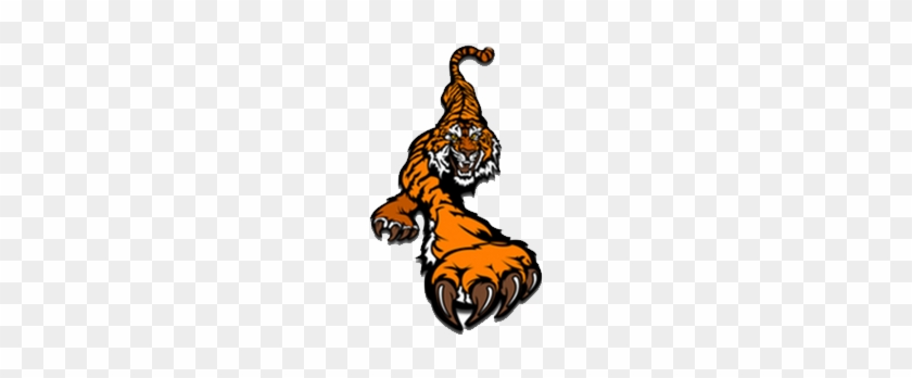 North Bend Central Public School District - Sweetums Signatures Tiger School Mascot Printed Wall #615113