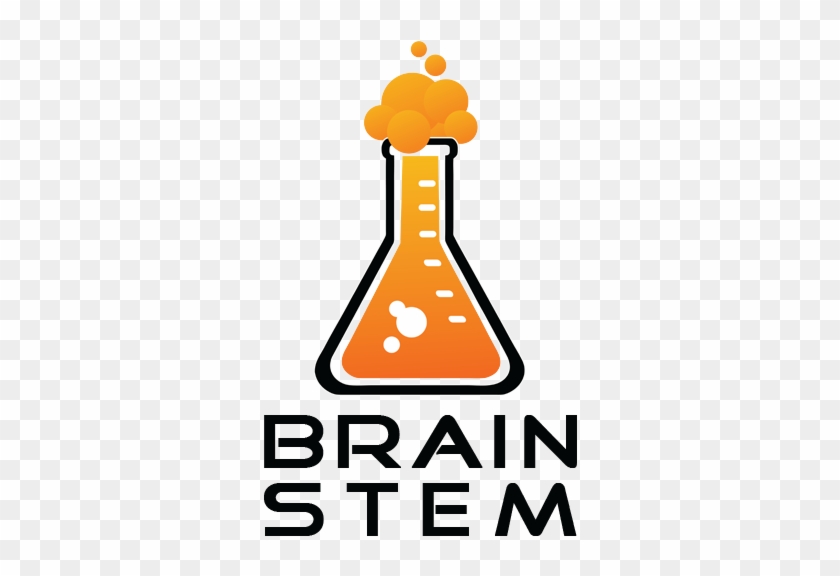 Technology, Engineering, And Math While Having Fun - International Brain Bee #615257