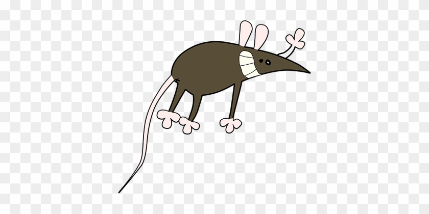 Mouse Rat Animal Rodent Laboratories Comic - Mouse Cartoon #615486